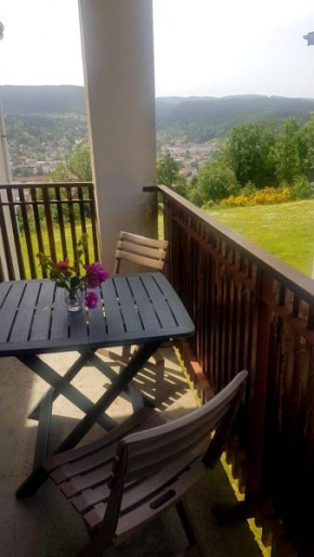 LES DRYADES Vue montagne Gérardmer